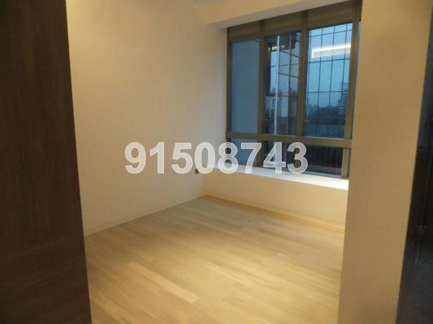 Leedon Residence (D10), Condominium #81845042